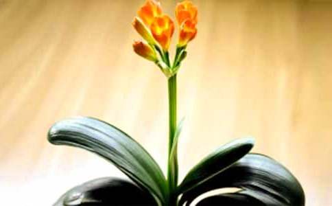 һ�������ľ����m����600��