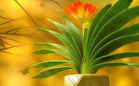 �^������m���ģ�ͨ��29ƪ��