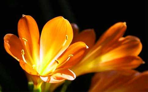 ��������m����