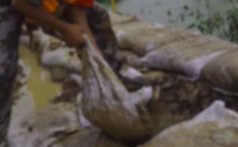 抗洪作文400字6篇