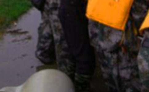 2022����Ȟ�(z��i)�ľ��ӣ����x130�䣩