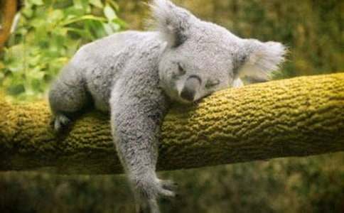 ������ð�U(xi��n)�^���