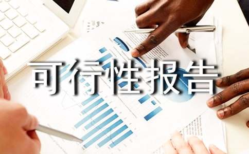 創(chuàng)業(yè)可行性報(bào)告模板