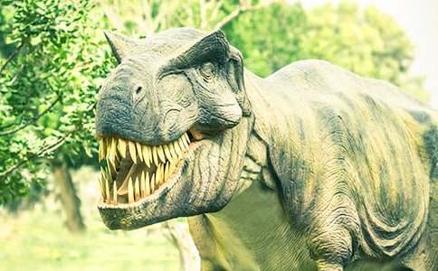 ����ͯԒ���ĺϼ���ƪ