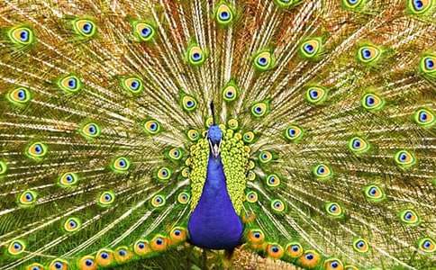 ���x���Ŀ�ȸͯԒ����4ƪ