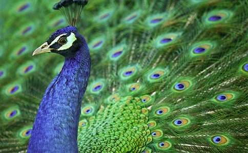 ����ȸ�|���w���Č�����500�֣����x10ƪ��