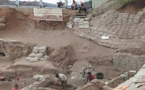 �صV����Մ׃������(gu��)60������