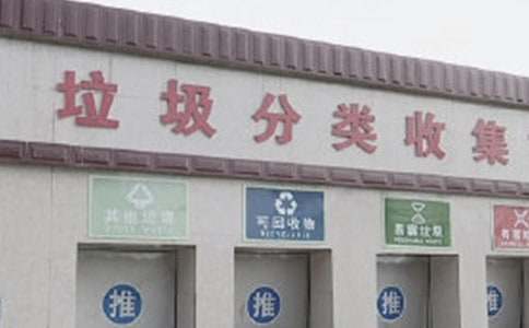 垃圾分類作文800字(通用29篇)