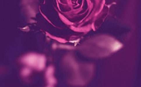 古板老媽的浪漫作文3篇