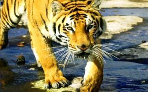 �ϻ�ͯԒ���ă�(y��u)��[7ƪ]