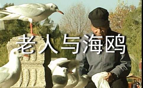 ���꼉(j��)�m(x��)�����ġ������c���t�������x��