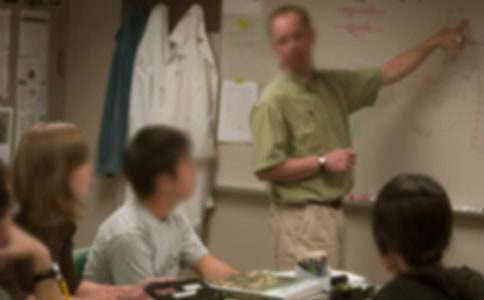 �L����ҳ����ώ�����