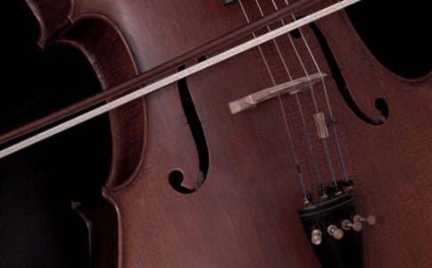 �P(gu��n)���茑�������~�Z