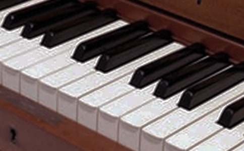 我喜愛的樂器作文