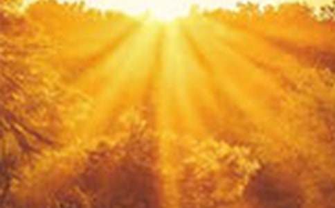 �ڴ�����Ԋ��