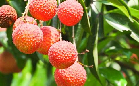 �Ґ۹��l(xi��ng)����֦����400��