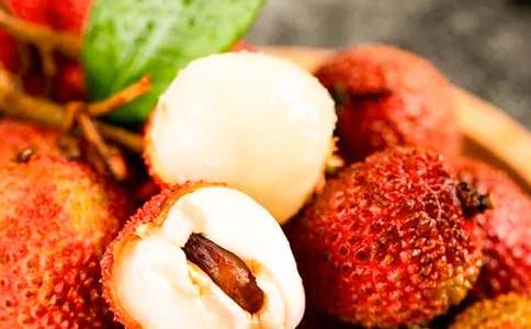 逛荔枝公園作文