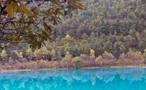 �ų�ӛ���������ģ�ͨ��30ƪ��