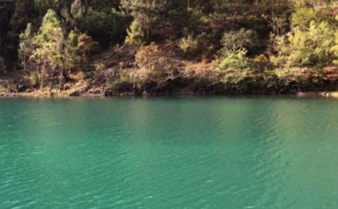 �������Ĳ��R�ŵ���(y��u)�����ģ����x25ƪ��