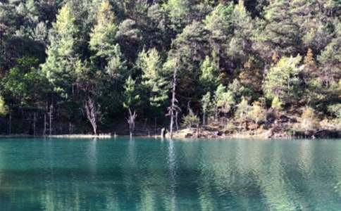 ������������700�֣����x15ƪ��