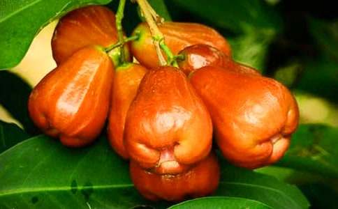 ɏ�F��(y��u)������