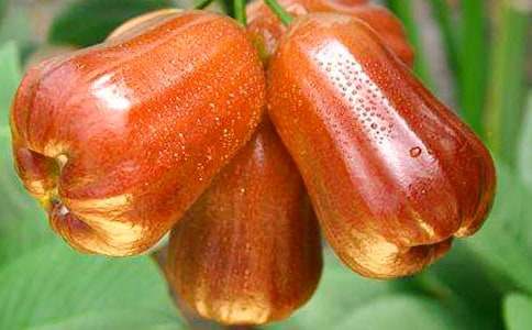 ɏ�F����3ƪ