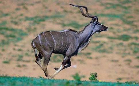 ����ľ��Č�(ͨ��5ƪ)