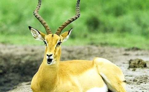 ����ľ��ԭ����x��