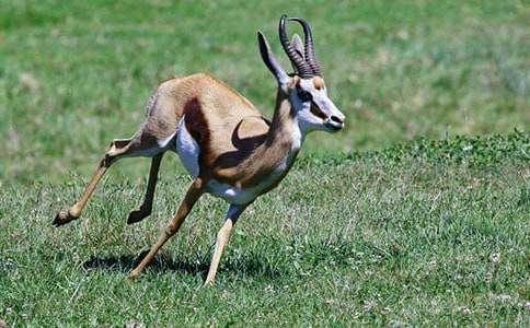 ����ľ����x�}��