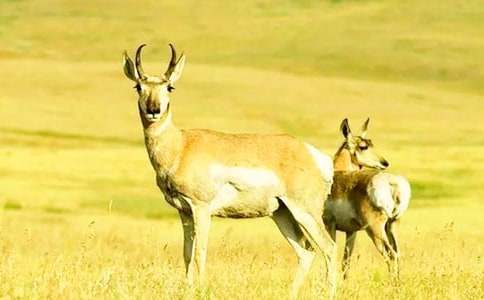 �P(gu��n)�ڭh(hu��n)�������ģ���������ۜI