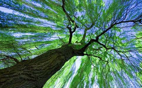 ������^�����ĳ���3ƪ