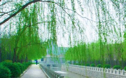 �Ґۼ��l(xi��ng)������������