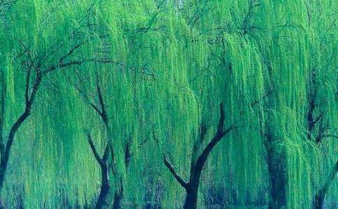 �ڴ�������������~�Z(y��)