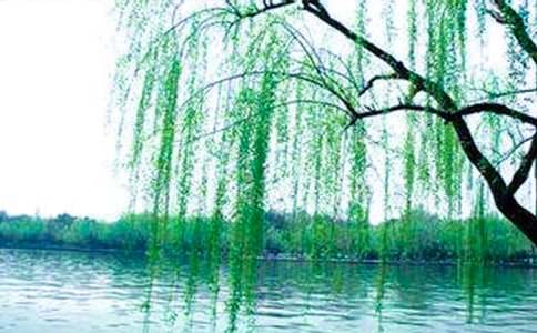 ������������(sh��)���~�Z(y��)