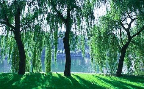 �����茑������~�Z(y��)