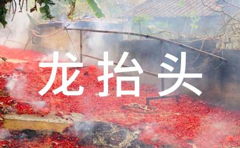 2015����?zh��)��^�ǎ���̖