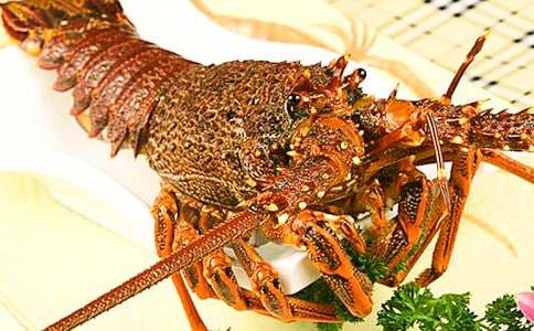 ���r�c�r������������