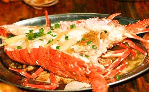 【精華】龍蝦作文500字3篇