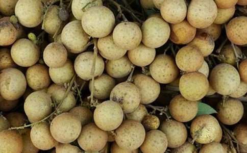 ���ۘ�������