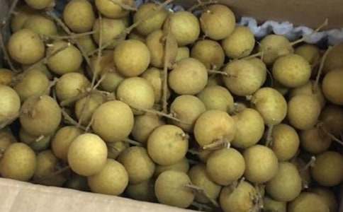 ���l(xi��ng)����������4ƪ