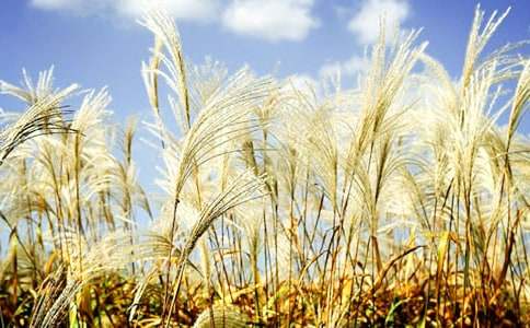 �����е��JȔ����xԭ�ļ���