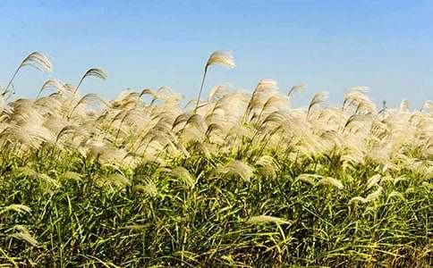 �����е��JȔ����xӖ(x��n)���}�c��