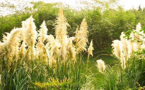 ���е��JȔ��һ����