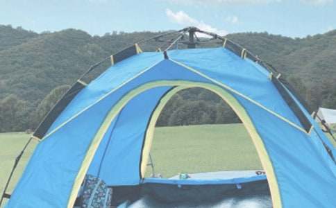 �����x��¶�I(y��ng)����600��4ƪ