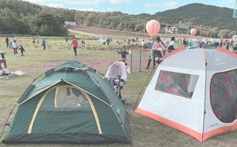 ¶�I(y��ng)Сӛ��������