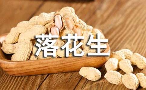 十五第二課時(shí)落花生教案(通用8篇)