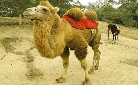 С���С�t�RͯԒ����