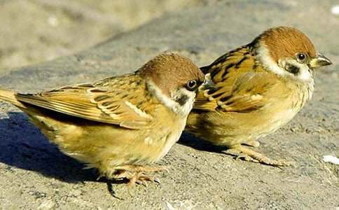 ���ꌑ��ȸ������