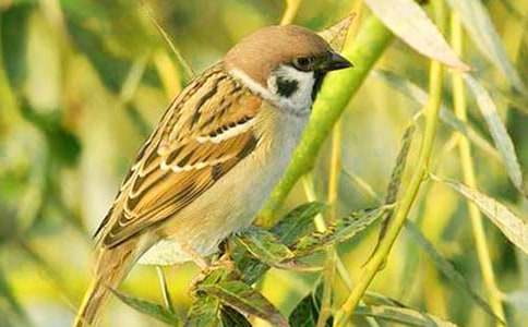 ����ȸ���Č�����13ƪ