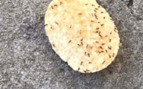 СΛρ��ͯԒ����